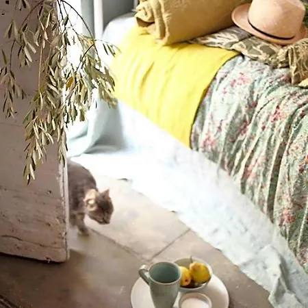 Les Sardines Aux Yeux Bleus D'hotes Bed & Breakfast 4*